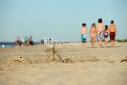 Abbey Beach Resort 4*