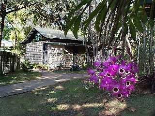 Byron Bay Rainforest Resort 2*