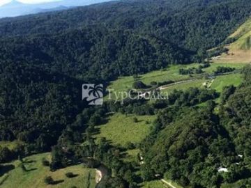 Daintree Valley Haven 4*