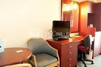 New Olympic Motel 3*