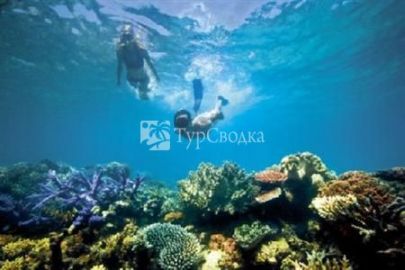Lizard Island Resort 5*