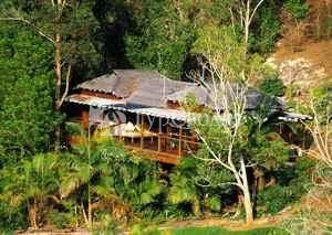 Amazing Wollumbin Palms Retreat Mount Warning 4*