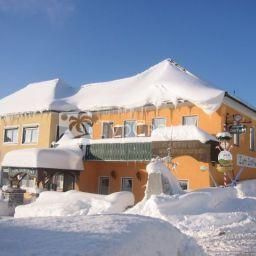 Hotel Zum Dorfwirt Gasthof 4*