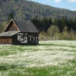 Bauernhof Ab Zum Gut im Schlag Urlaub Farmhouse St.Wolfgang 3*