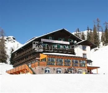 Hotel Alpen Aurora 3*