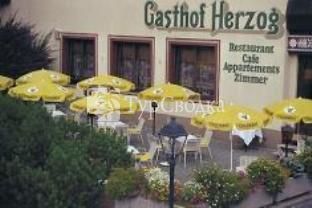 Hotel Gasthof Herzog Weissensee 3*