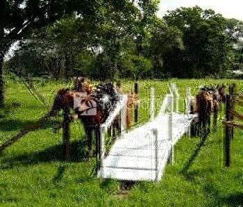 Banana Bank Lodge Belmopan 1*