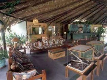 Amazon Ecopark  Jungle Lodge 3*