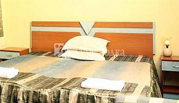 Alpha Hotel Blagoevgrad 3*