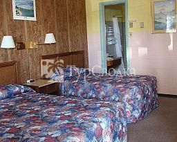 Lion Motel 1*