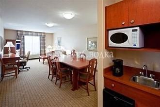 Holiday Inn Hotel & Suites Regina 3*