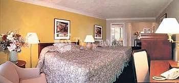 Traveller's Inn - Express 1*