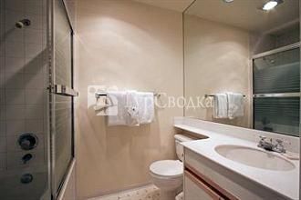 Raintree's Whiski Jack Snowbird 3*