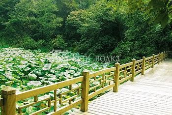 Hongzhushan Mountain Hotel Emeishan 5*