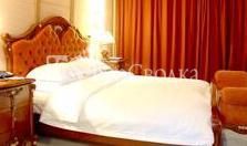 Dream Spa Hotel 4*