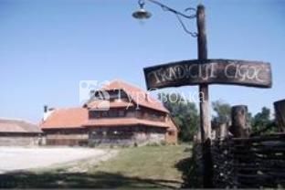 Tradicije Cigoc 3*