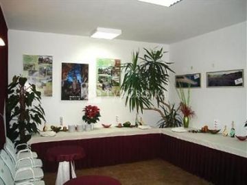Hotel Vicko 4*