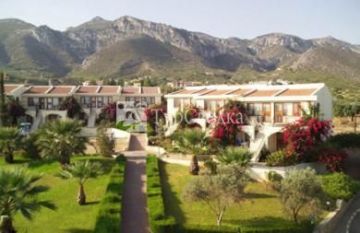 Dedeman Olive Tree Resort Kyrenia 4*