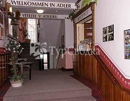 Hotel Adler Ceske Budejovice 3*