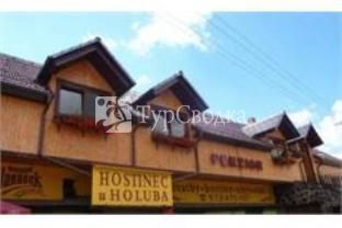 Penzion U Holuba Hradcovice 3*