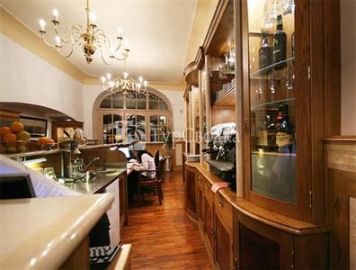 Hotel U Zlateho Jelena (Golden Stag) 4*