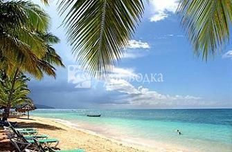 Hotel Residence Playa Colibri 3*