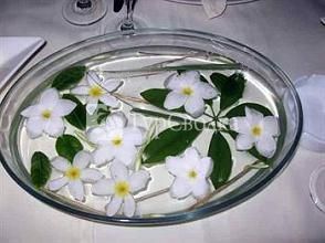 Natural Village Hotel Bavaro 4*
