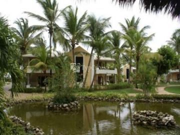 NH Real Arena Punta Cana 5*