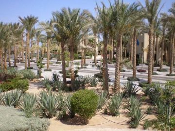 Sonesta Beach Resort Taba 5*