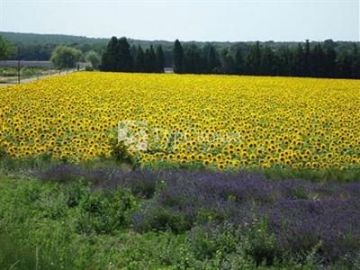 Domaine Le Bois Des Dames 3*