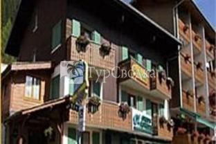 Hotel Les Armaillis Chatel 2*