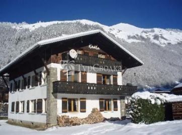 Chalet Koala Montriond 1*