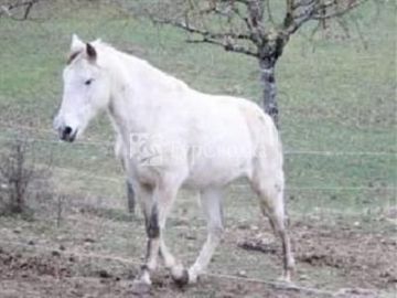 Ferme de Fontepaisse 1*