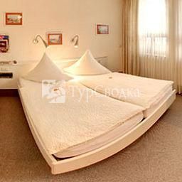 Hotel Granus 3*