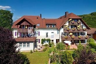 Appart Hotel Badblick Bad Bellingen 3*