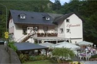 Hotel Elfenmuhle 2*