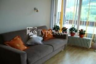 Ferienwohnung Christa Hotel Bad Peterstal-Griesbach 3*