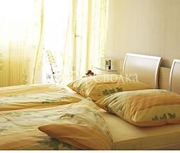Hotel zum Hirsch 3*