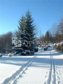 Pension Am Buchenacker 2*