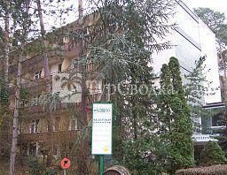 Waldhotel & Gastehaus Zum Taunus Budenheim 1*
