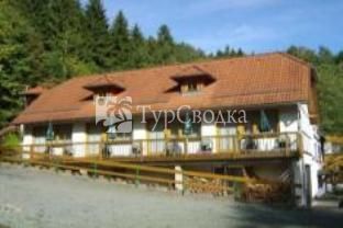 Waldhotel Pfarrmuhle 3*