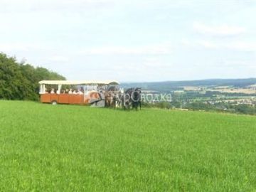 Hotel Landgasthof Holzer 3*