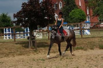 Schloss Herrenstein 4*