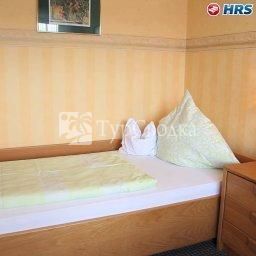 Hotel Gasthof Goldener Lowe Gunzburg 3*