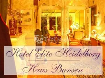 Elite Hotel Heidelberg 2*