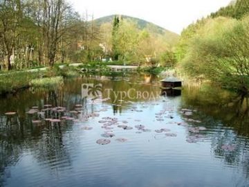 Hotel Garni Haus Iris Herzberg am Harz 3*