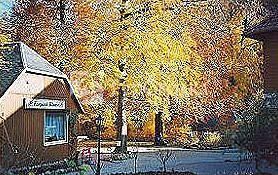 Kurpark- FLAIR - Hotel "Im Ilsetal" 4*
