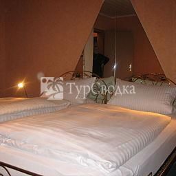 Martinsklause Hotel Meckesheim 2*