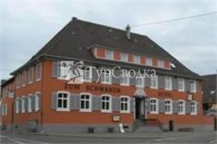 Gasthof Hotel Schwanen Neuried 3*