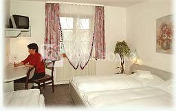 Hotel Krone Niederstotzingen 3*